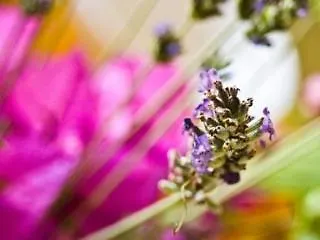 B&B Pompei Welcome Bed & Breakfast
